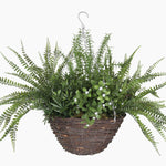 Hanging basket with green ferns and plants on a white background
