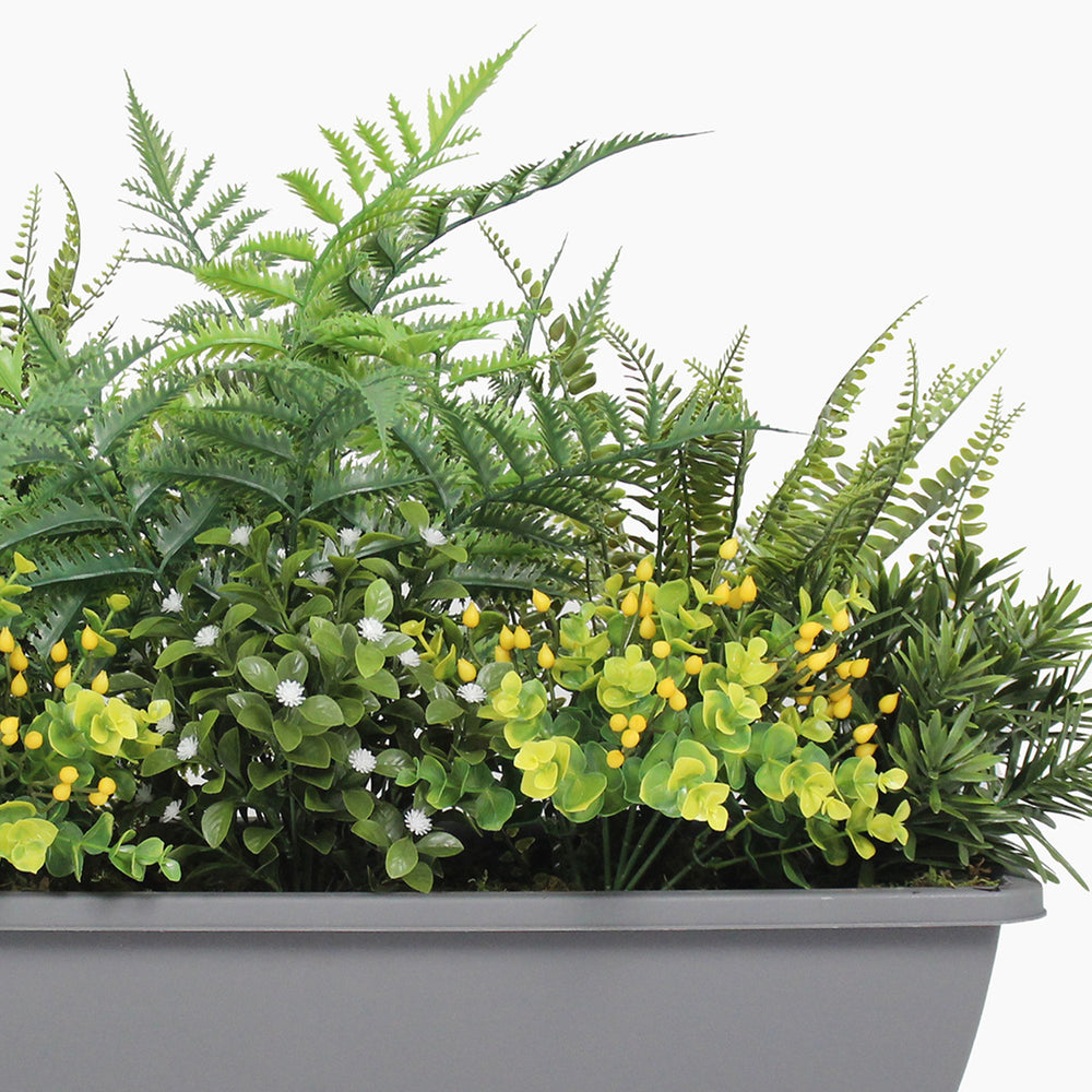 Potted plant with green ferns and yellow flowers on a white background