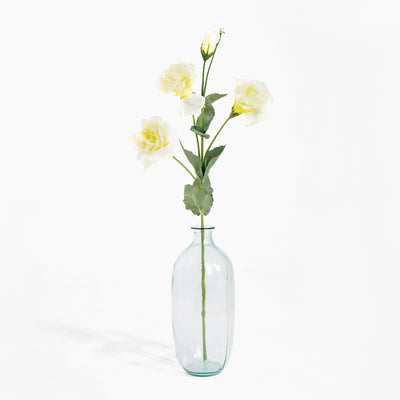 Clear glass vase with yellow flowers on a white background