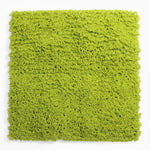 Square piece of green textured material on a white background