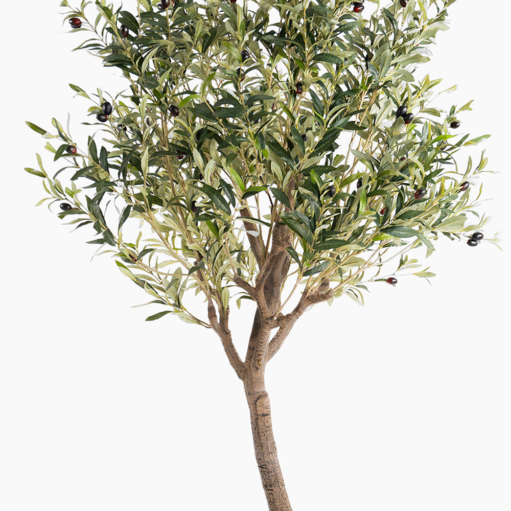 Artificial olive tree with green leaves and small black fruits on a white background