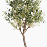 Artificial olive tree with green leaves and small black fruits on a white background