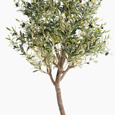 Artificial olive tree with green leaves and small black fruits on a white background