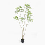 Artificial bamboo plant in a black pot on a white background