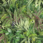 Mayan green wall (8 pack)