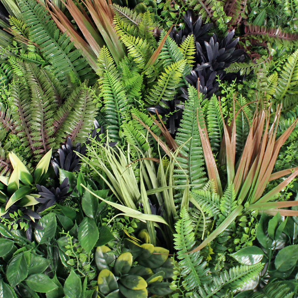 Collection of various ferns and green plants in a natural setting