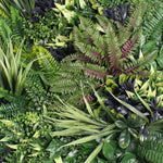 Artificial greenery wall with various types of plants