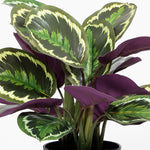Artificial medallion calathea leaves