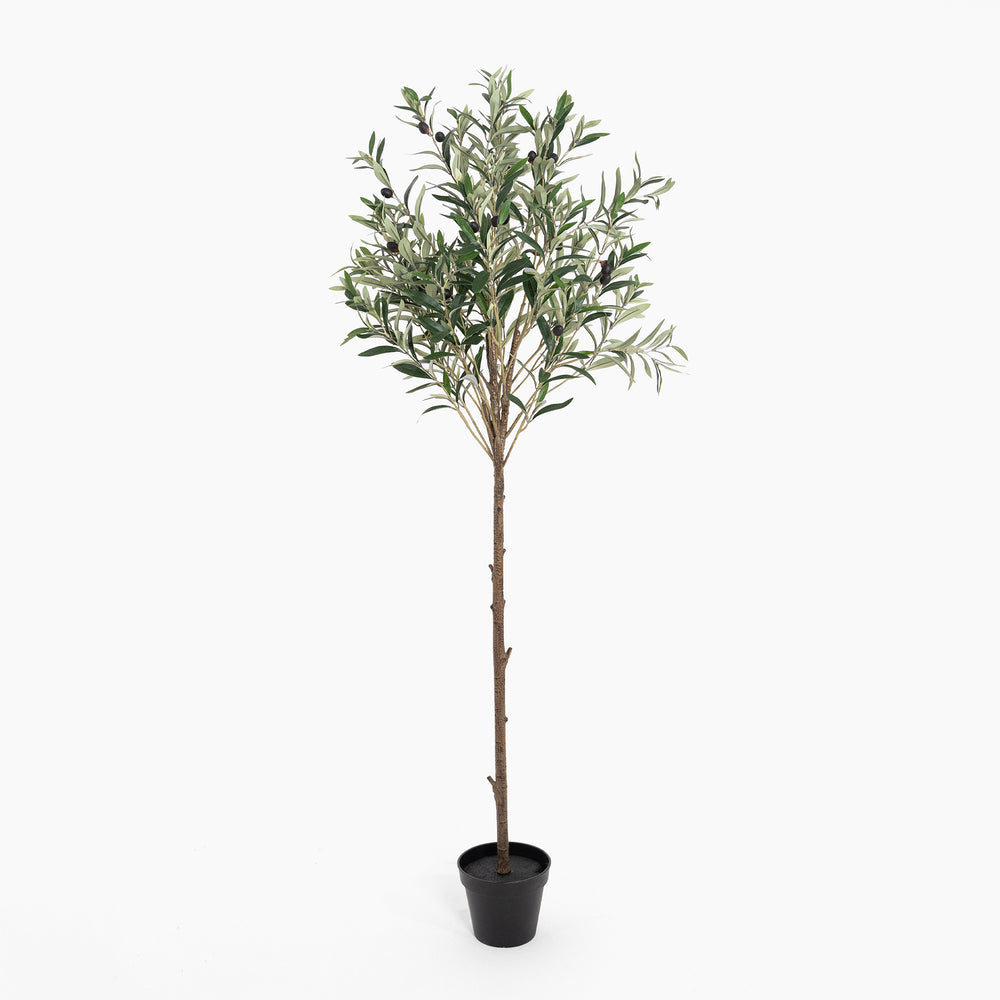 Potted artificial olive tree on a white background