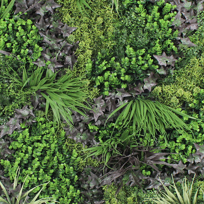 Collection of various green plants and leaves