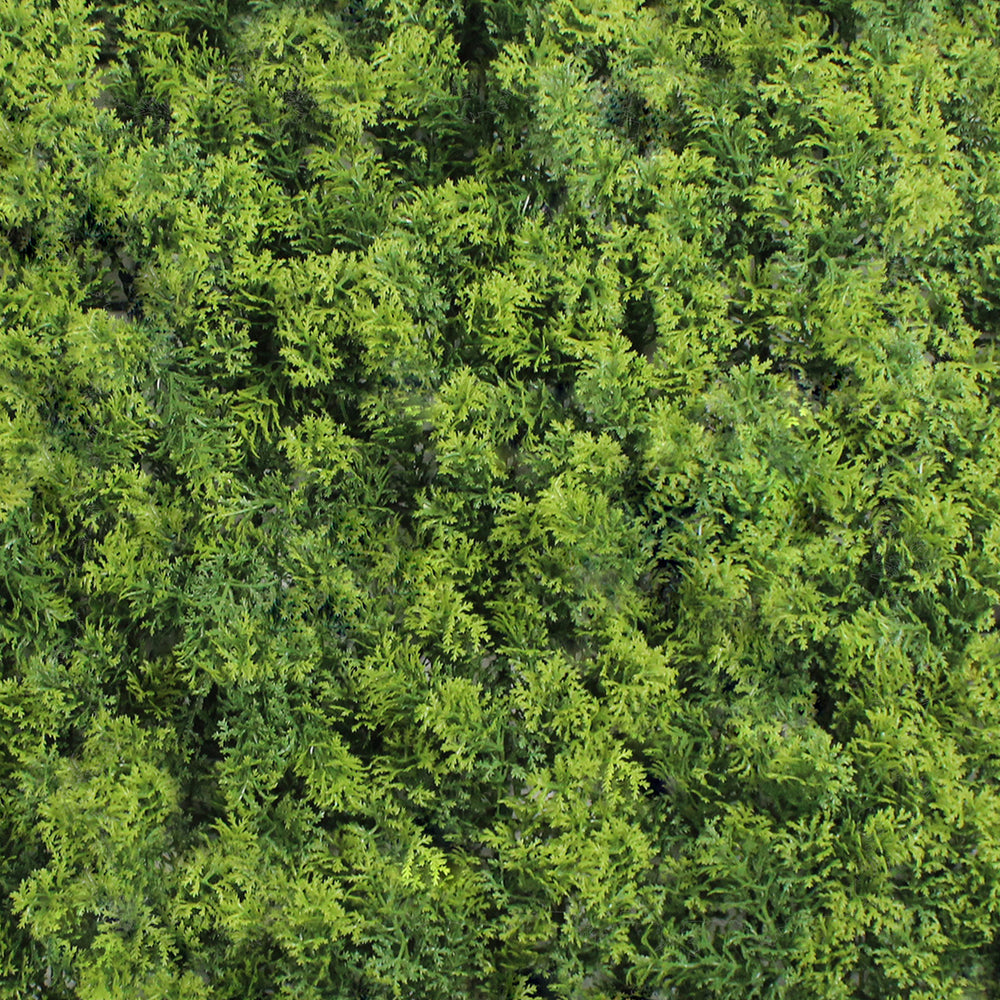 Aerial view of a dense forest with green trees