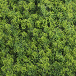 Aerial view of a dense forest with green trees