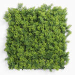 Artificial green wall panel on a white background