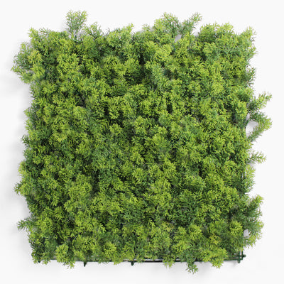 Artificial green wall panel on a white background