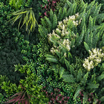 Artificial greenery wall with various types of plants