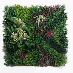 Artificial green wall panel with various green plants on a white background