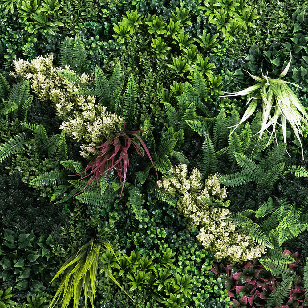 Various green plants including ferns and other foliage in a natural setting