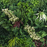 Various green plants including ferns and other foliage in a natural setting