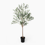 Artificial olive tree in a pot on a white background