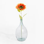 Clear glass vase with a sunflower on a white background