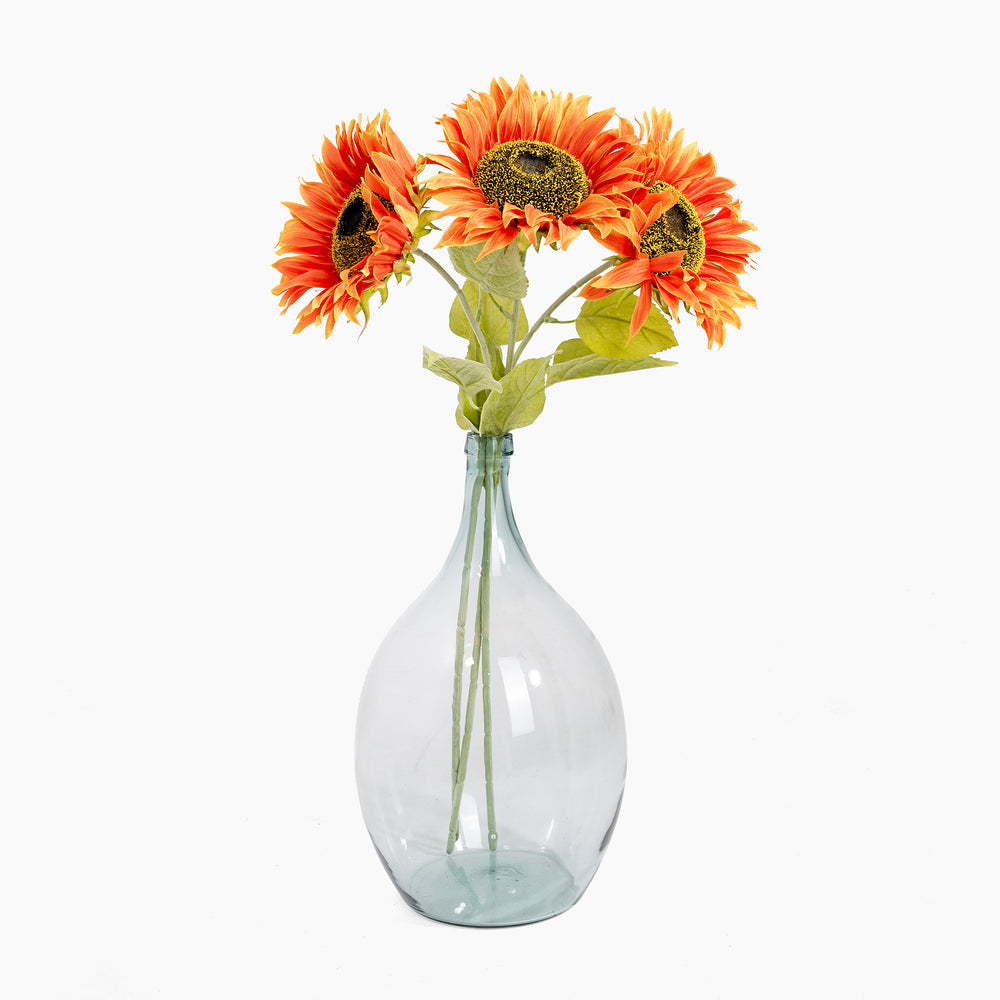 Clear glass vase with orange sunflowers on a white background