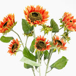 Sunflower triple-head spray