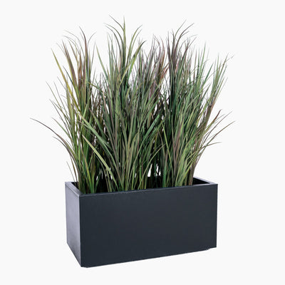 Rectangular black planter with tall green grasses on a white background