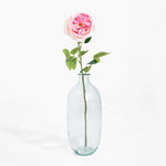 Clear glass vase with a single pink rose on a white background