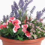 Potted plant with pink flowers, green leaves, and purple lavender on a white background
