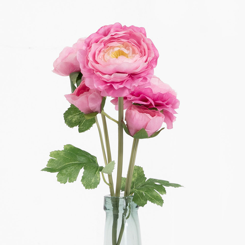 Pink flowers in a clear vase on a white background