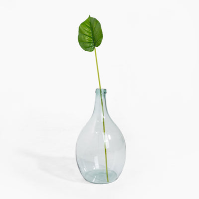 Clear glass vase with a single green leaf on a white background