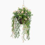 Hanging basket with greenery and pink flowers on a white background