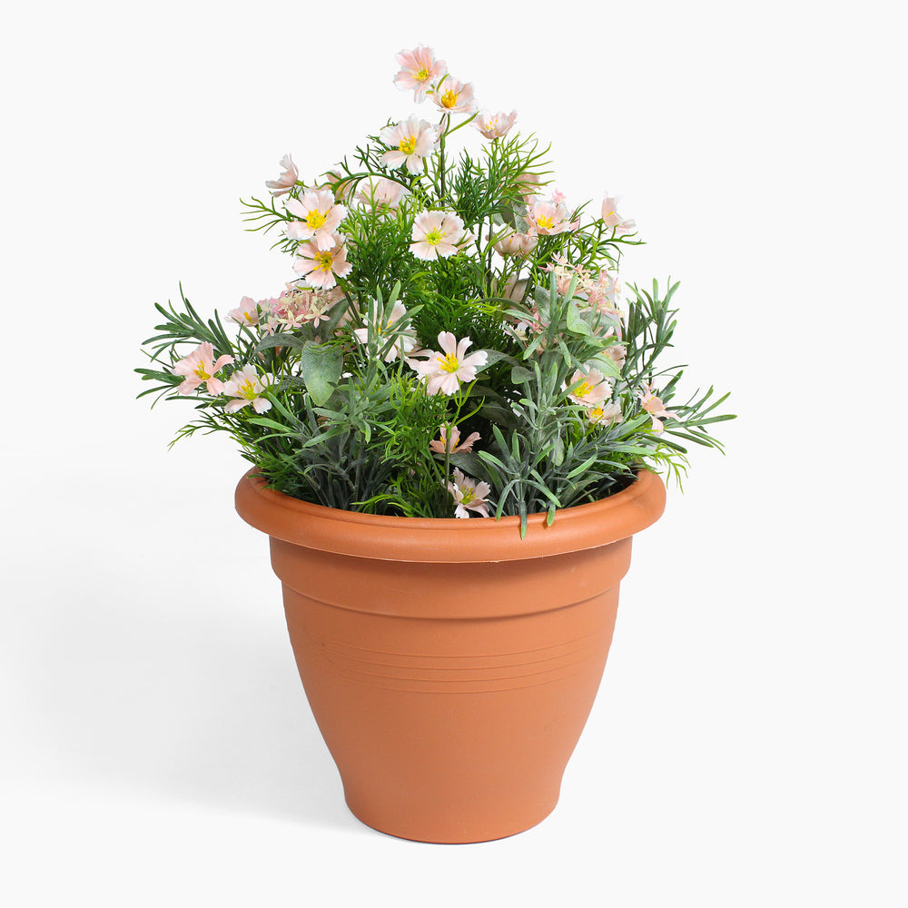 Terracotta pot with a potted plant on a white background