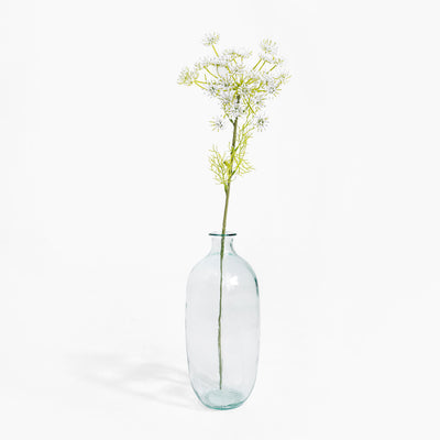 Clear glass vase with a single stem of flowers on a white background