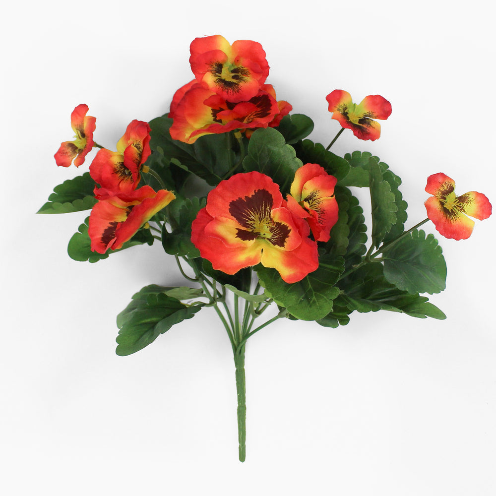 Red pansy flowers with green leaves on a white background