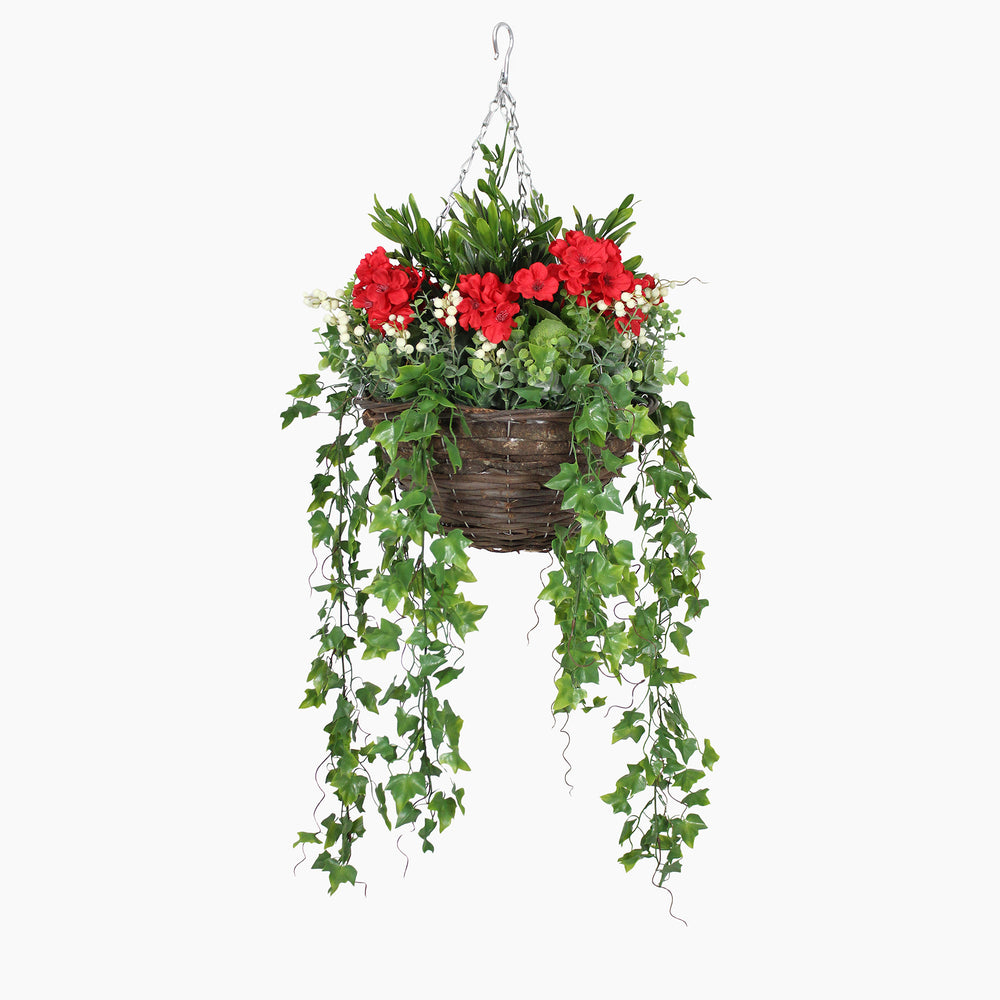 Hanging basket with red flowers and green leaves on a white background