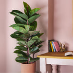 Potted plant next to a wooden table with books and decorative items against a pink wall.