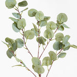 Artificial silver dollar eucalyptus foliage
