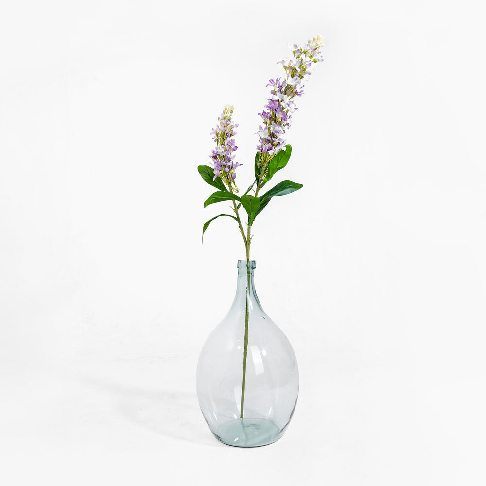 Clear glass vase with a single stem of flowers on a white background