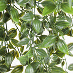 Close-up of artificial trailing foliage plant - leaves