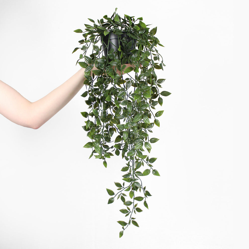 Arm holding artificial trailing foliage plant, on white background.
