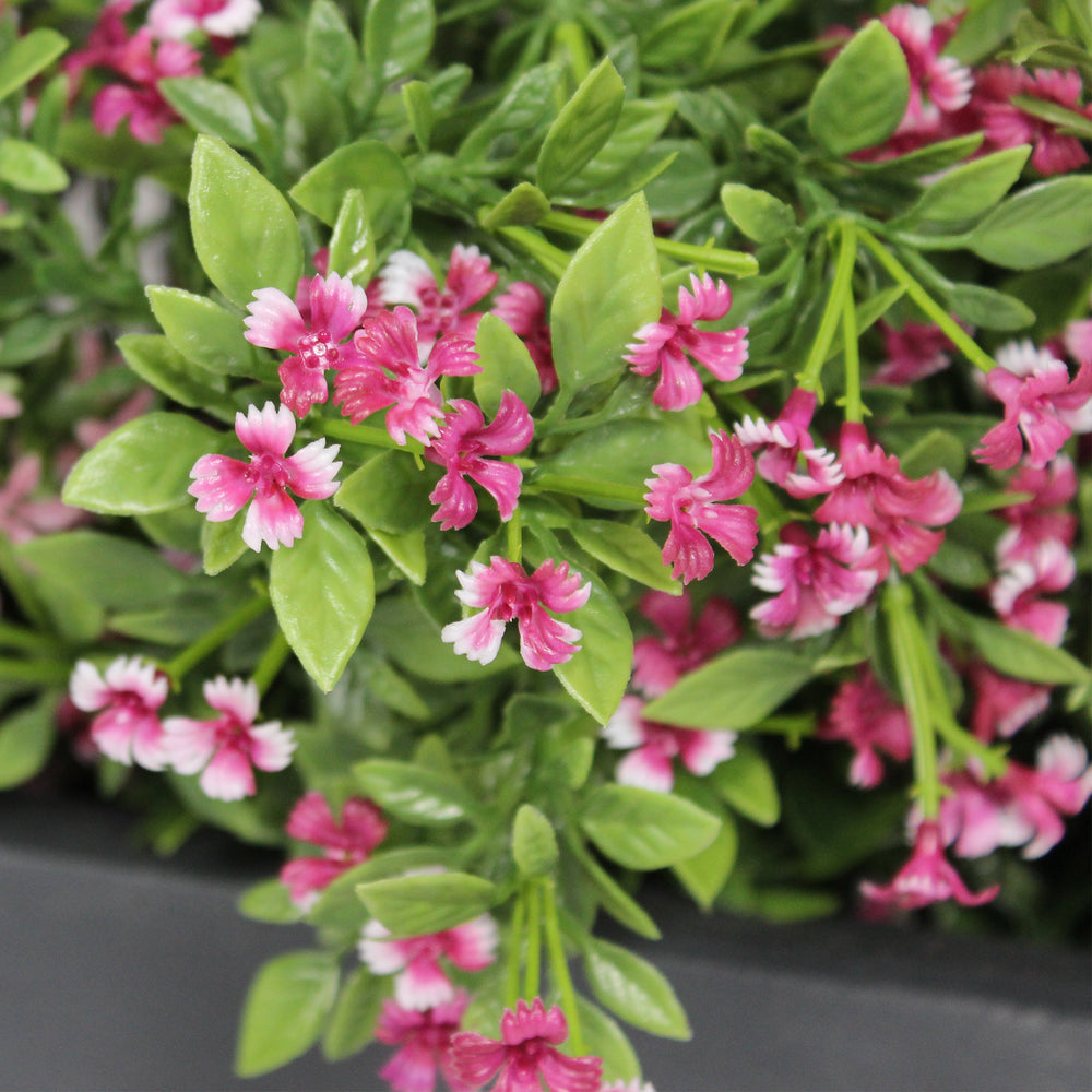 Urban garden window box