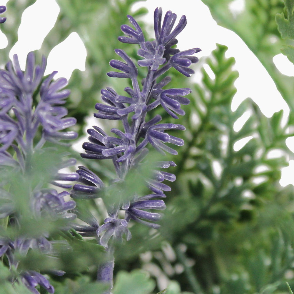 Urban garden window box