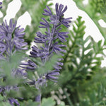 Urban garden window box