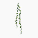 Artificial ivy vine on a white background