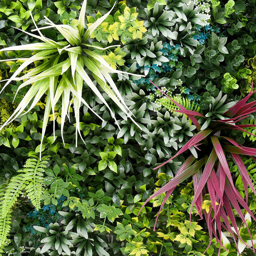 Vibrant medley green wall (3 pack)