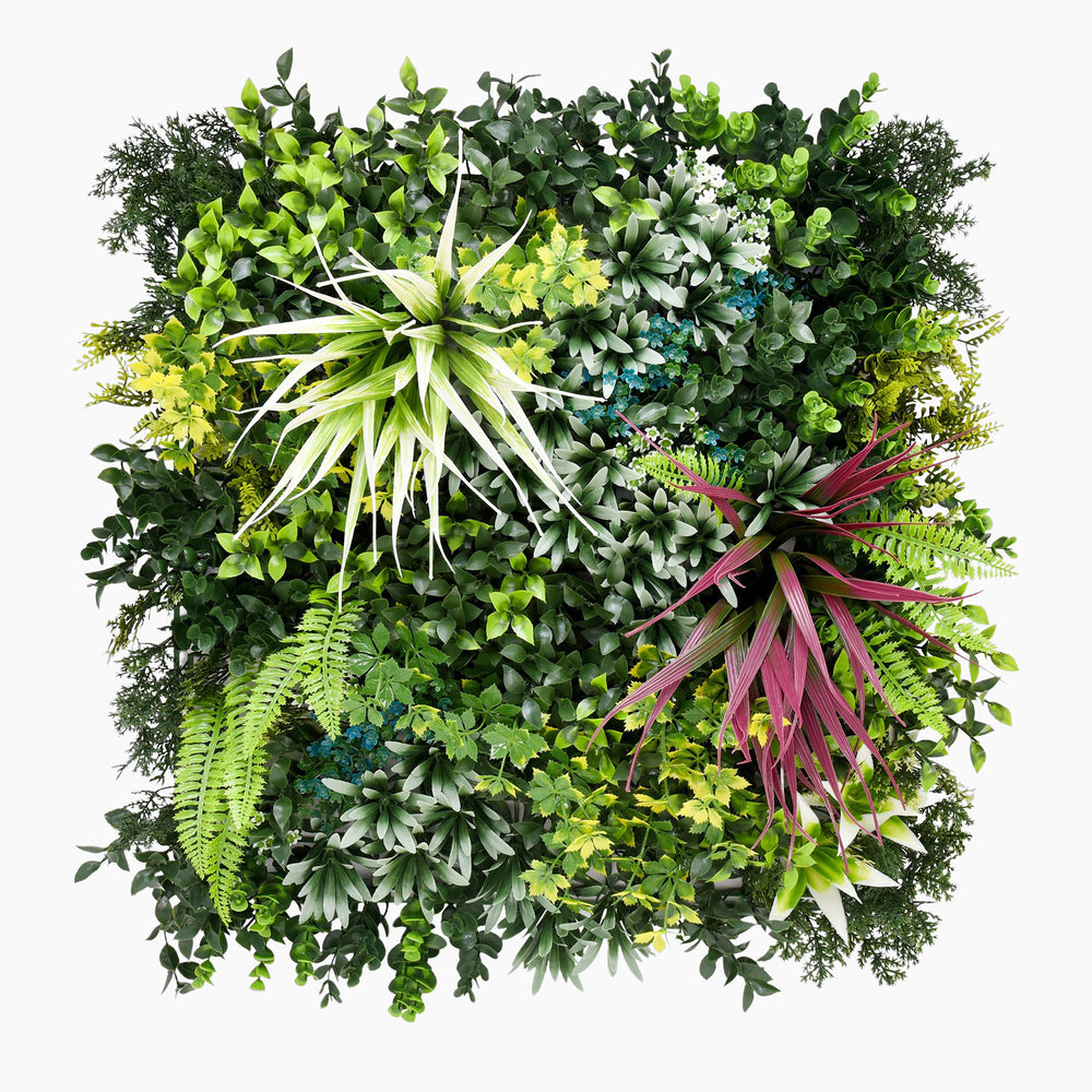 Artificial green wall with various types of plants on a white background