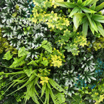 Vibrant medley green wall (3 pack)