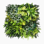 Artificial green wall with various types of greenery on a white background