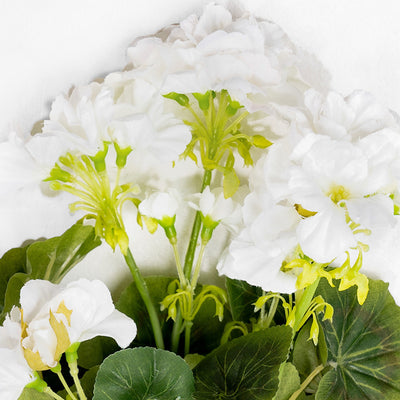 Close-up of white flowers with green centers on a white background